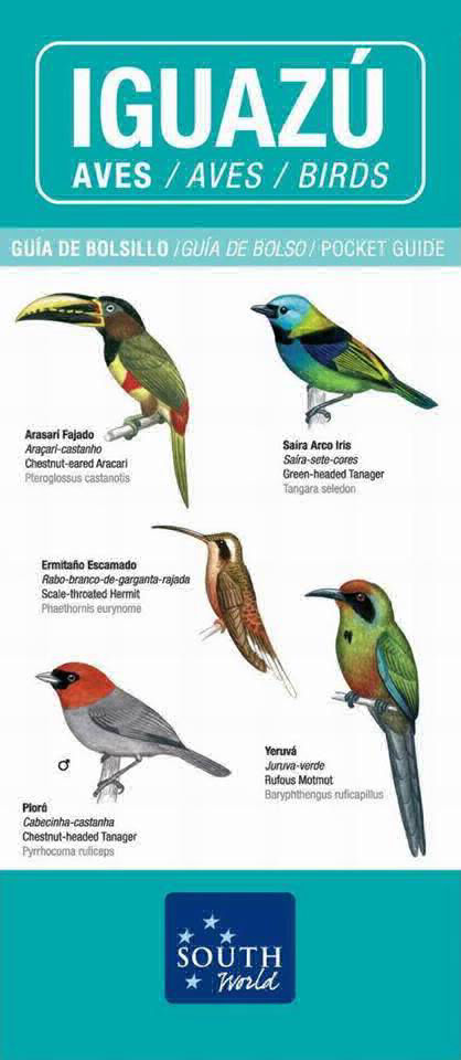 IGUAZU. Aves.